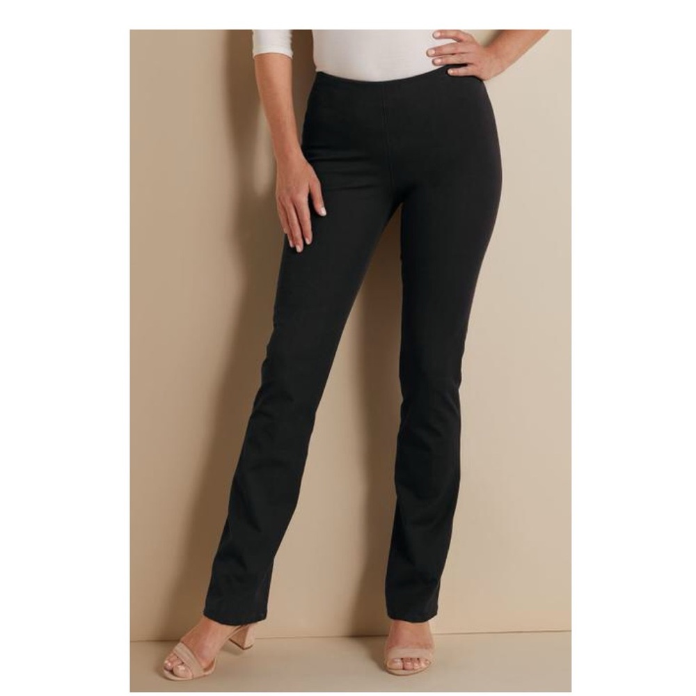Soft Surroundings Pull On Pant (M)